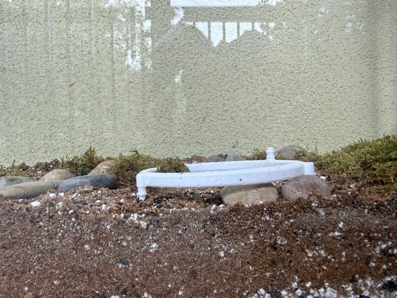 The finished ring in a test bed of soil, moss and river stones, seen from soil level, with its stakes pinning it into the soil.